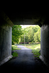 トンネルの向こうに見える緑の木々に向かって伸びる道