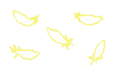 Yellow angel wings