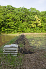 田んぼの畔を野焼きする