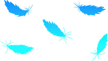 Fototapeta na wymiar Blue feather silhouette