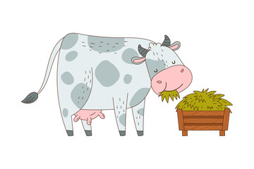 Bull or Cow with Horns and Spots as Farm Animal Chewing Grass Vector Illustration