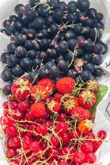 fresh summer fruit in the basket