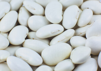 Fototapeta premium White kidney beans background texture. Vegan and vegetarian photo. Ecological green food. Close up, macro photo.