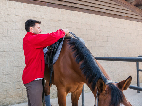 Young Male Jockey Putting Saddle On Horse In Stable