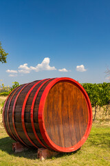 Fototapeta premium Wine barrel in vineyard, Tuscany, Italy