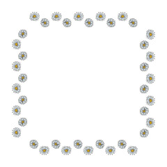Square frame with stylish chamomile on white background. Vector image.