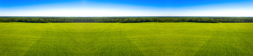 Summer forest and field with trees. Wild nature. Aerial view. Long banner
