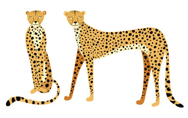 Vector illustration beautiful cheetah, Side view. Big wild cat isolated on white background. Fastest mammal animal. Perfect for logo, t-shirt, card, poster
