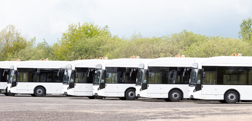 Long white busses