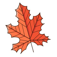 Red maple autumn leaf. Botanical, plant design element with outline. Autumn time. Doodle, hand-drawn. Flat design. Color vector illustration. Isolated on a white background.