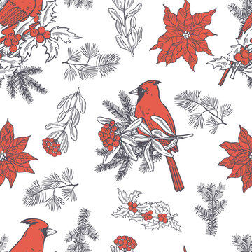 Red cardinals. Vector  pattern.