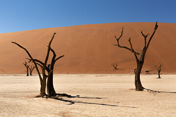 Paisaje del Valle de la muerte en Namibia.