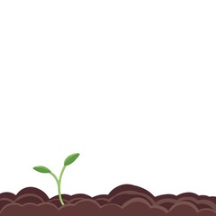 plant in a soil