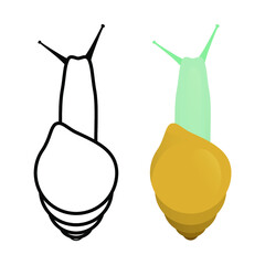 
Snail on a plant - nature - illustration