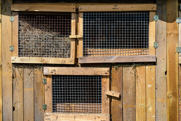 Wooden cage with a metal net on the door for breeding rabbits, standing in the countryside.