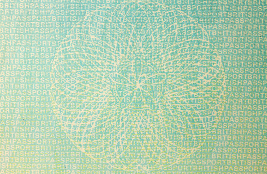vintage british passport