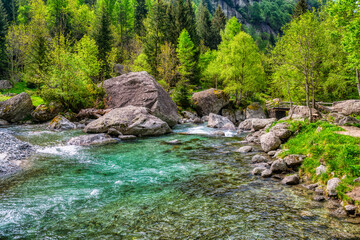Naklejka na ściany i meble The vivid color of river in the valley in spring season