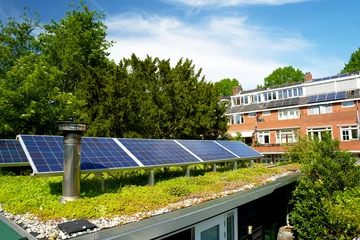 Tapeten Green sedum rooftop garden with solar cells on top. Photovoltaic cells on a green roof, generation sustainable electricity. Duurzame stroom op groen dak. © René Notenbomer