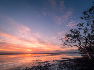 Fototapeta na wymiar Beautiful Seaside Sunrise with Mangroves and Cloud Reflections