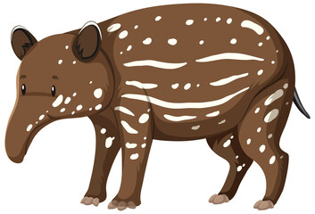 Baby Tapir wild animal on white background