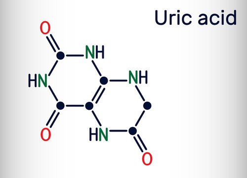 Uric acid molecule. It is heterocyclic compound, crystalline product of protein metabolism, found in the blood and urine. Skeletal chemical formula