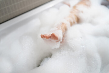 Woman's feet bathe in the bathtub