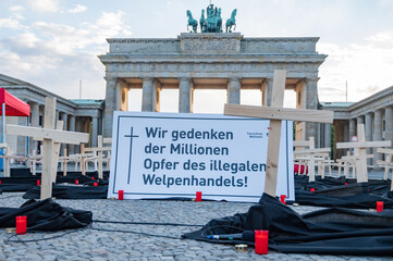 Four paws action on the Pariser place in front of the Brandenburger Gate on the 1.06.2021 © Tim