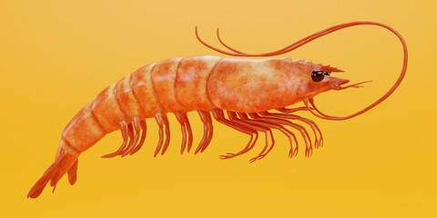 Realistic 3D Render of Shrimp