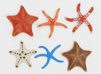 Fototapeta na wymiar Realistic 3D Render of Starfish Collection