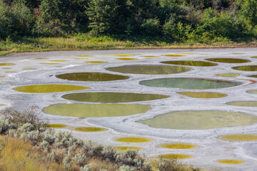 Naklejka premium Spotted lake