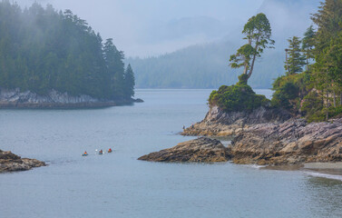 Vancouver island