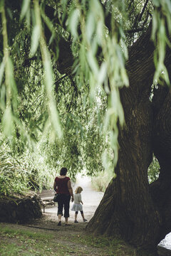 Walking In Hagley Park, Christchurch, New Zealand