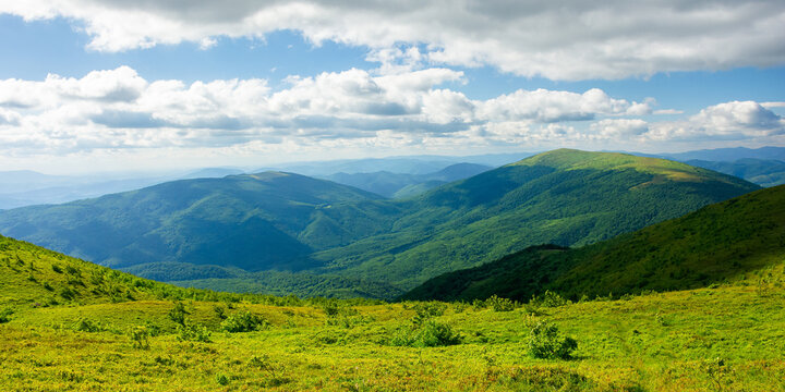 view from runa mountain. grassy hills and slopes in evening light. summer landscape of carpathian mountains. bieszczady and vihorlat ridge in the distance beneath a sky fluffy clouds