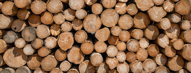 texture of stack of firewood
