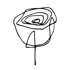 vector linear illustration of graceful elegant rose isolated on white background. can be used for advertising, prints, logos, web design,  for postcards for women's day, mother's day, Valentine's day