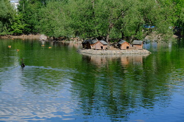 the river in the park