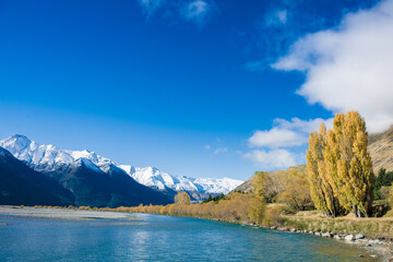 Autumn Leaves, Matukituki Valley, Mount Aspiring National Park, Te waipounamu, New Zealand
