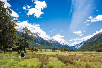 Fototapeta na wymiar Matukituki Valley Track, Mount Aspiring National Park, Te waipounamu, New Zealand