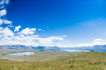 Lake Tekapo & Lake Alexandrina, New Zealand（view from Mt John）