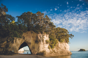 Cathedral Cove in de ochtend, Hahei, Coromandel Peninsula, Nieuw-Zeeland