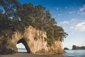 Foto op Plexiglas Cathedral Cove in de ochtend, Hahei, Coromandel Peninsula, Nieuw-Zeeland © tky15_lenz