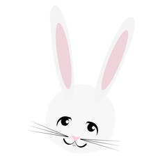 white rabbit on white