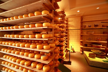 Cheese Making Process in Cheese Factory. shelves with aging cheese
