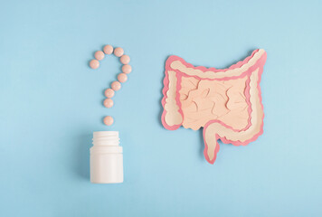 Healthy intestine concept. Decorative model with pills in shape question mark on light blue...