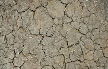 texture dry earth