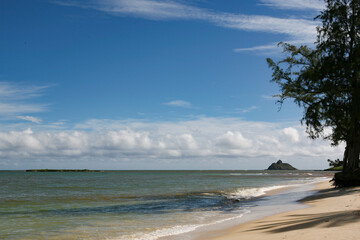 ハワイの砂浜
