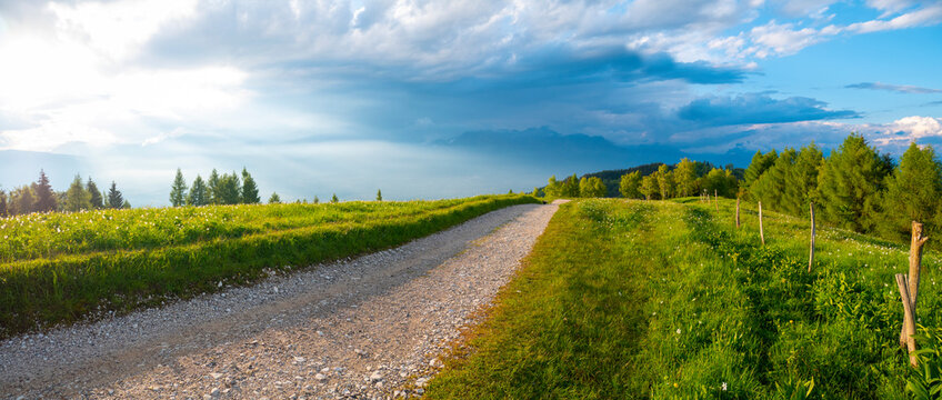 Path in nature, background. Dirt road in the countryside, web banner. Pathway concept. Road in a rural landscape.
