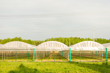 closeup of modern greenhouse complex against blue sky. Cultivation of organic plants for sale.