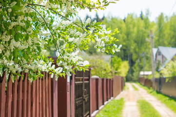 Fototapeta premium Gate, fence and spring nature. Colorful spring background, home entrance, curb appeal