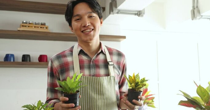 Asian young mand holding pot of small plant with happiness while working at home doing indoor garden and looking to camera with smile face.